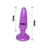 Picture of ANALNI DILDO PURPLE (PLUG)