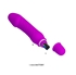 Picture of VIBRATOR PRETTY LOVE JUSTIN